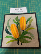 Banksia