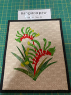 Kangaroo Paw